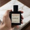 WhatsApp Image 2026-09-02 at 13.29.39 HAWAÉ by MANSHÉ Fragrances® – Pure Freshness. Endless Vibes | 50ml EDP For Men | Eau de Parfum